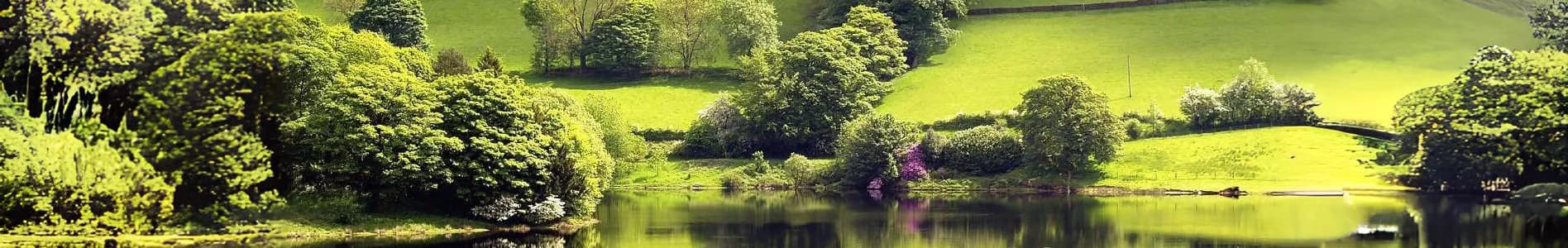 Fields and forest, surrounding a lake in the Buckinghamshire countryside